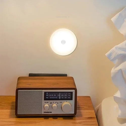 LED Motion Sensor Light