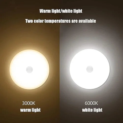 LED Motion Sensor Light