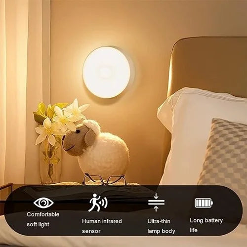 LED Motion Sensor Light